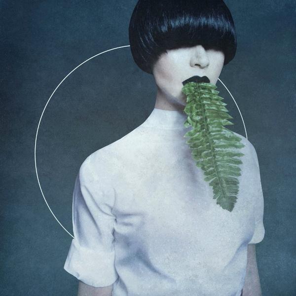 Kangding Ray (David Letellier)