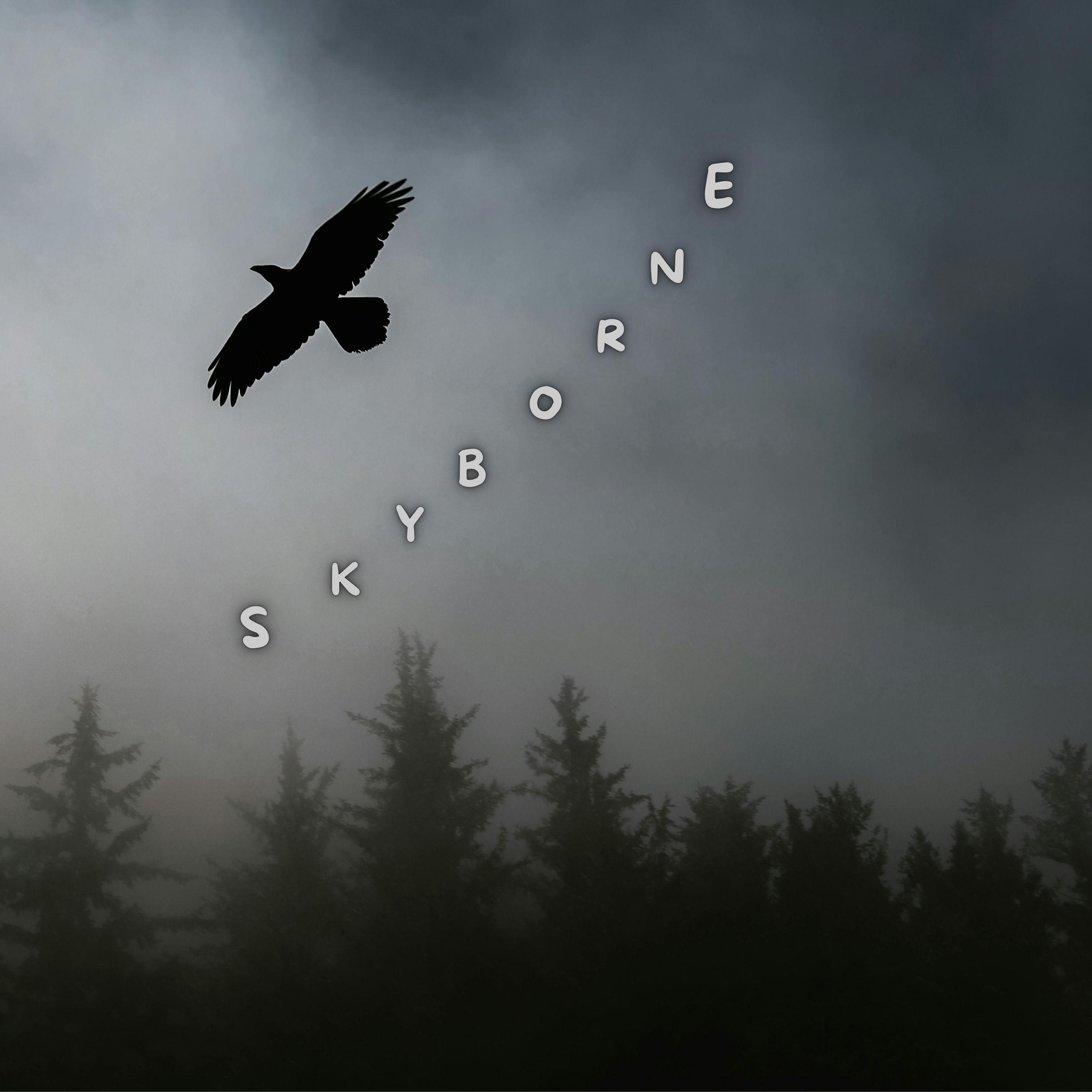 Skyborne (feat. K J Diliip & Shalini Mohan)