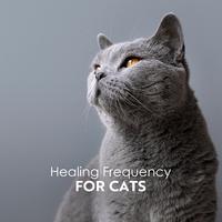 Healing Frequency for Cats: Sound Therapy for Anxious Cat, Reiki Cats Healing, Calm Music for Cats