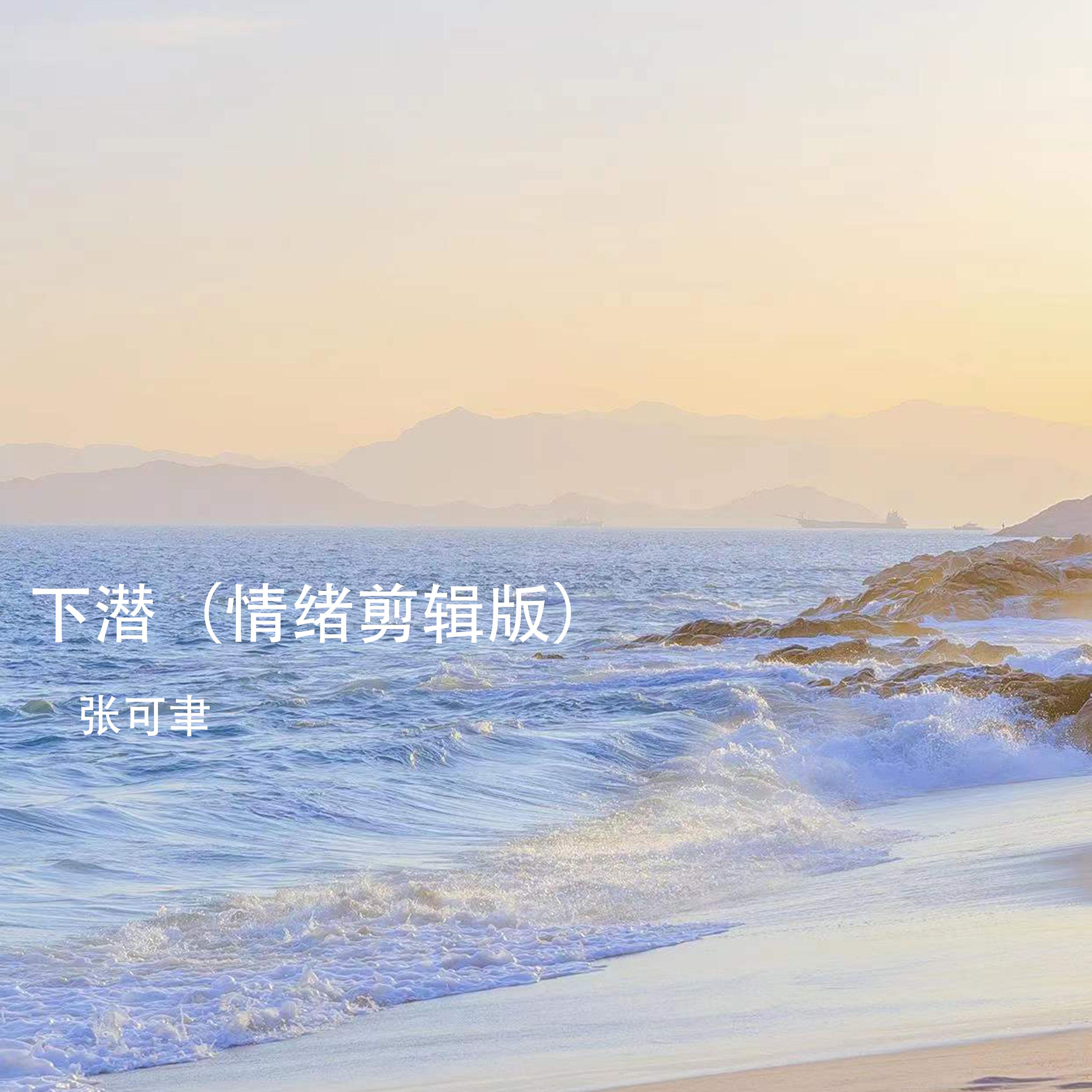下潜 (情绪剪辑版)封面