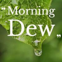 Morning Dew