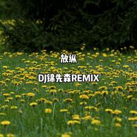 放纵（DJ锦先森 Remix）