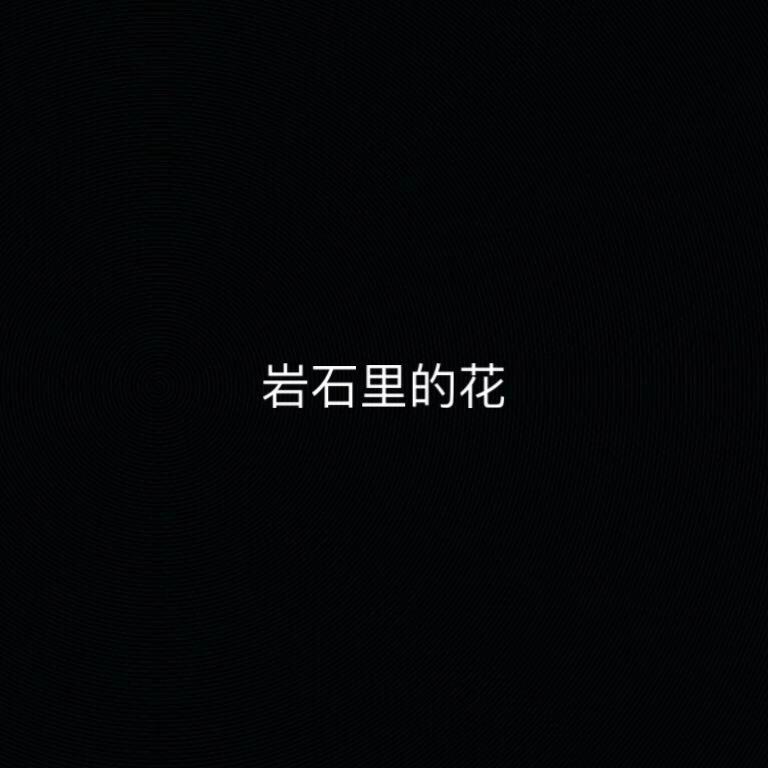 岩石里的花封面