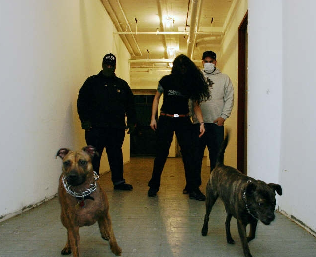 Caninus