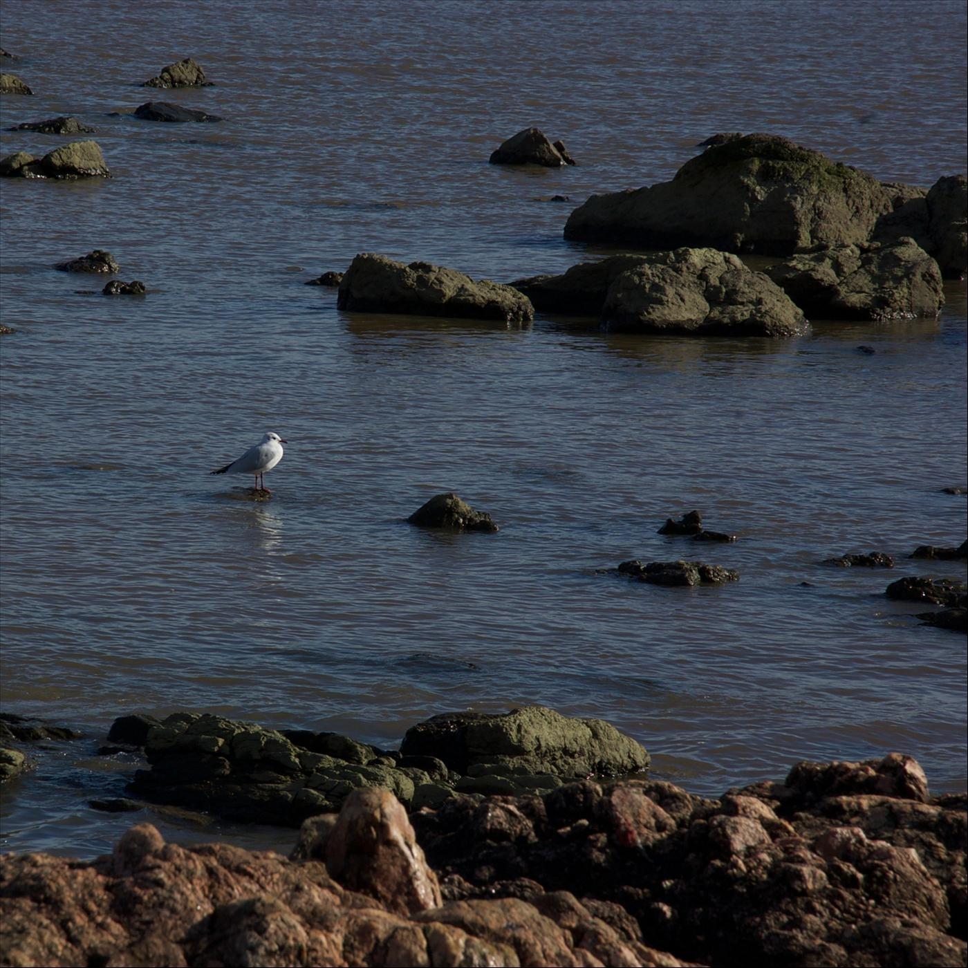 Fue Mi Pecado (No el Tuyo)