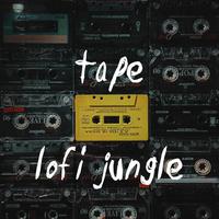 LOFI JUNGLE