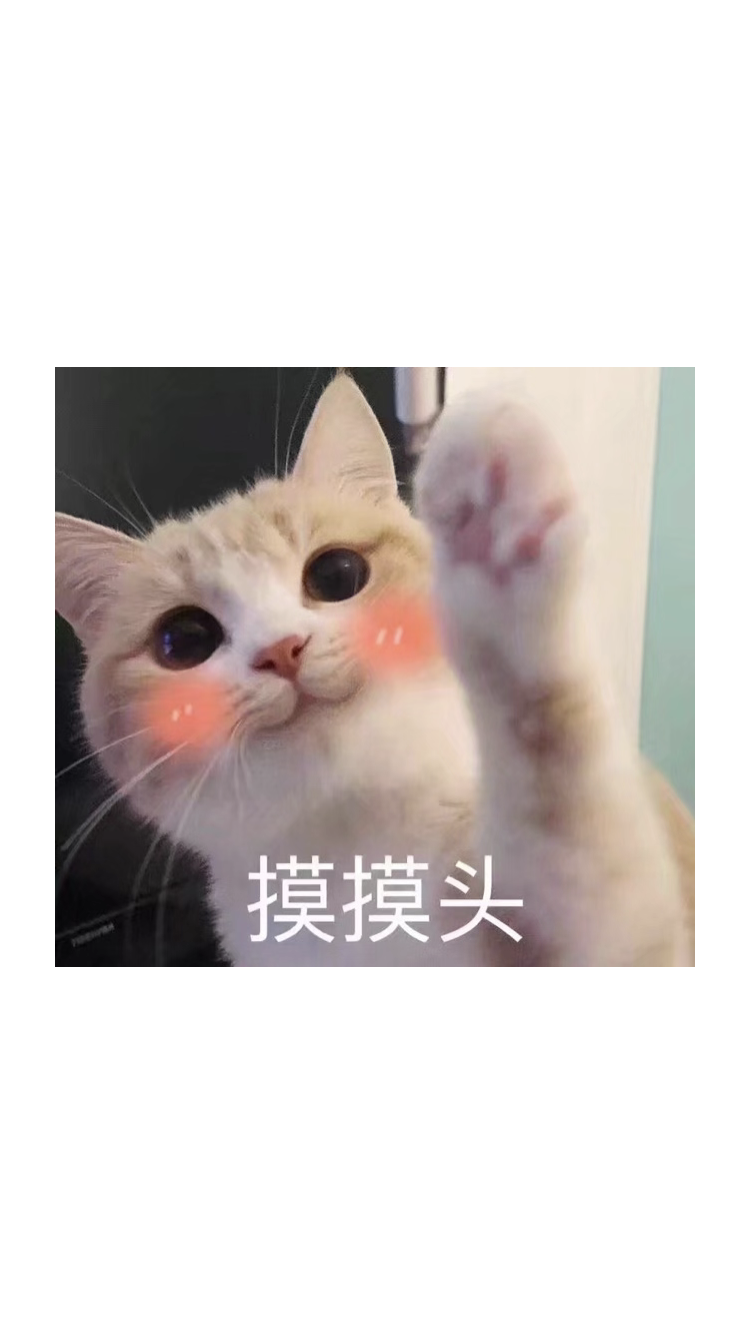 做我的猫简谱_翔霖做我的猫