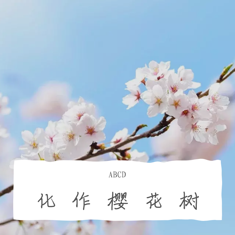 化作樱花树