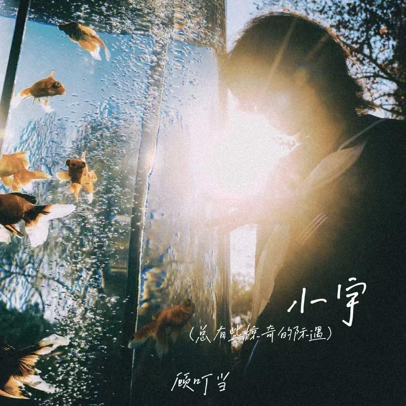 小宇(总有些惊奇的际遇)