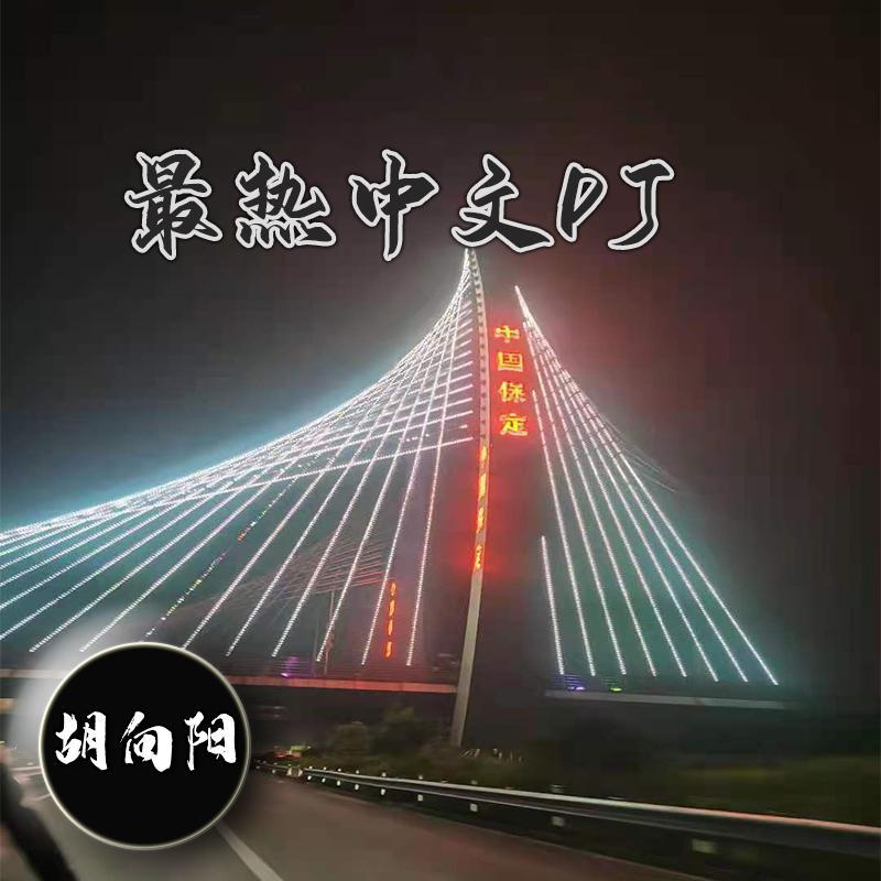 · 音乐官方-雾里天涯(版)（胡向阳 ）封面