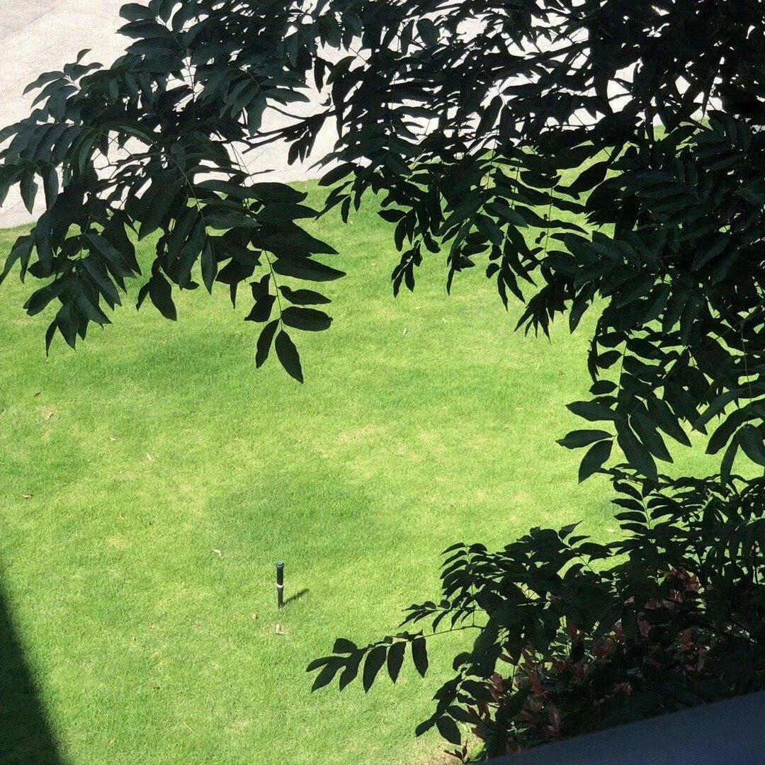 拾光而行封面