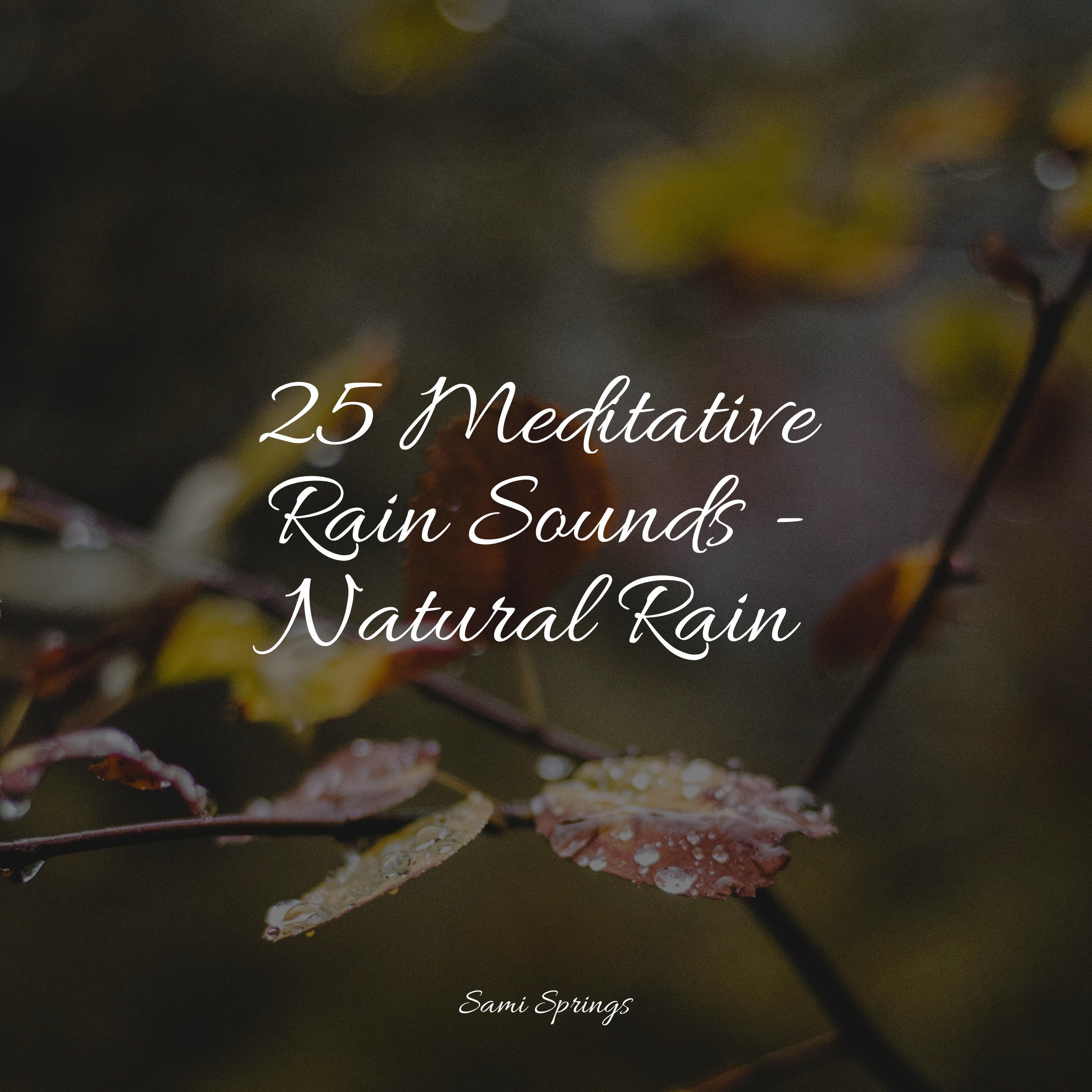 25 Meditative Rain Sounds Natural Rain Egyptian Meditation Temple 