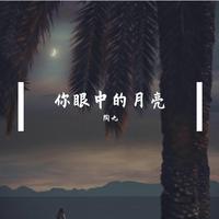 你眼中的月亮