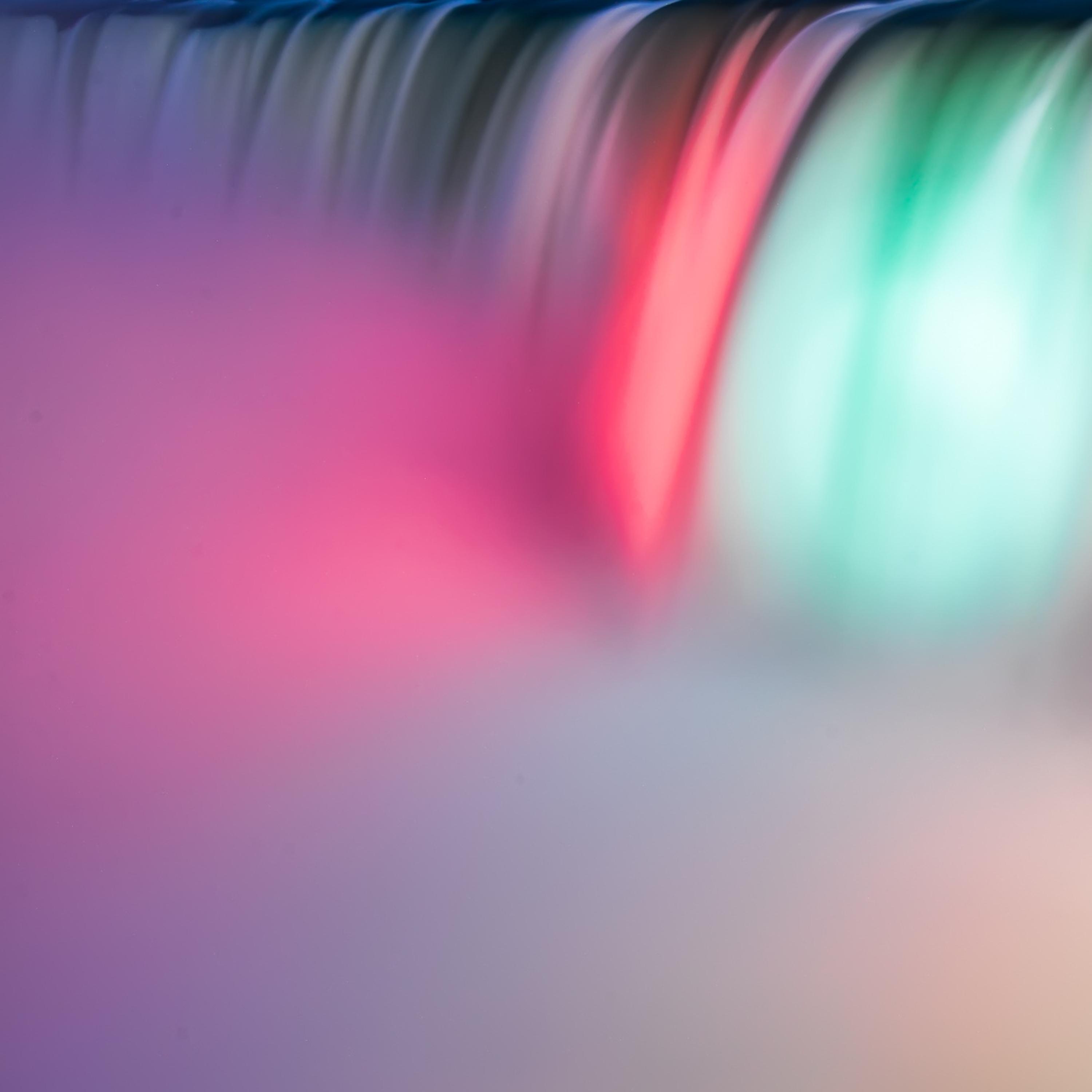 Sunshine and Wisteria