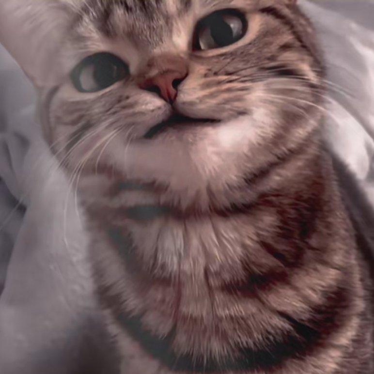 --红茶批发蛋总-