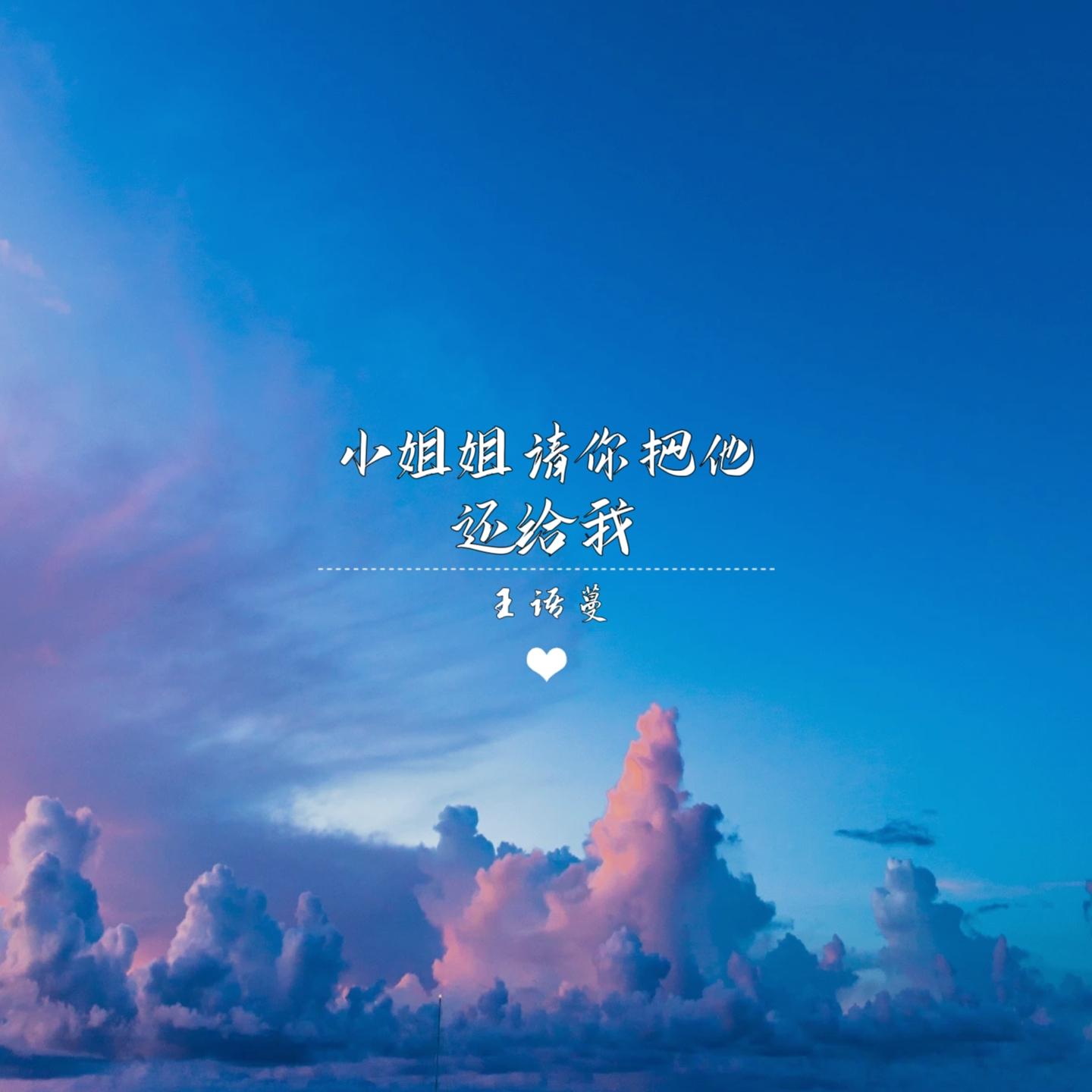 小姐姐请你把他还给我 - 王语蔓封面