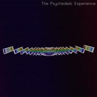 The Psychedelic Experience