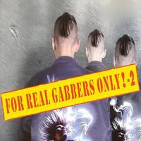 For Real Gabbers Only!, Vol. 2