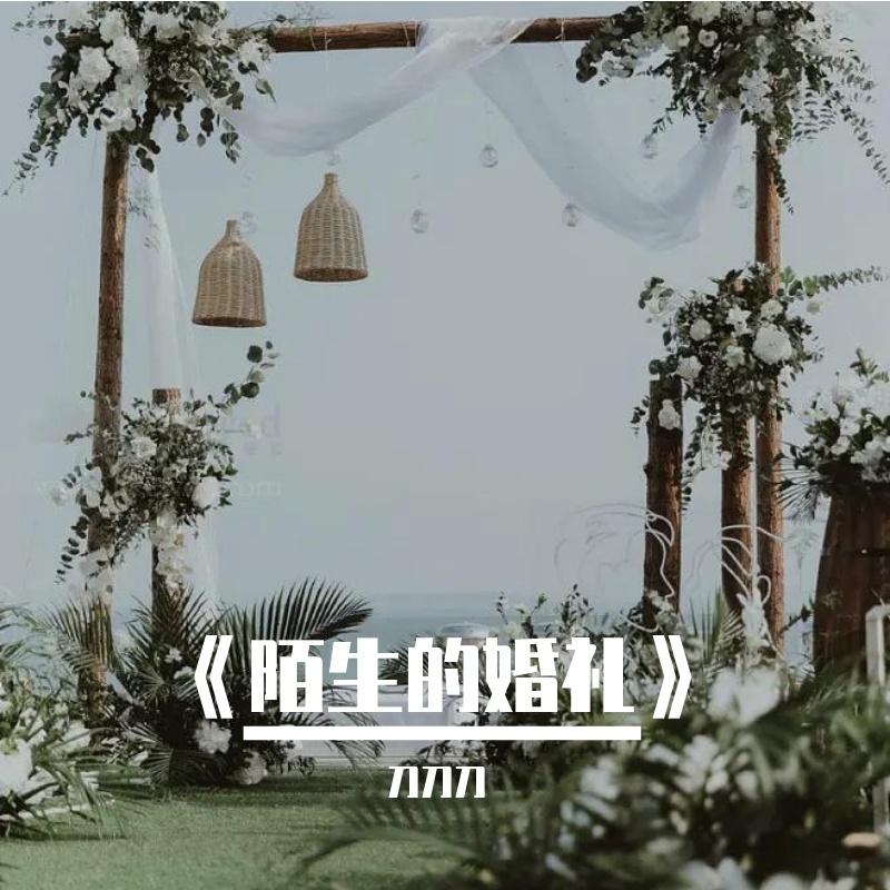 《陌生的婚礼》封面