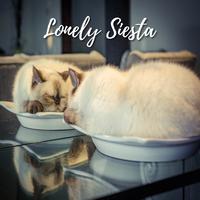 Lonely Siesta