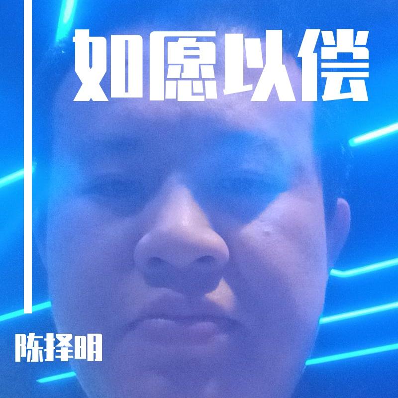 如愿以偿封面