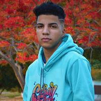 Cesar Flow