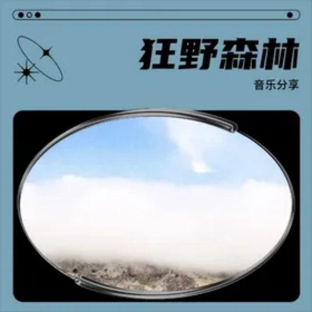 野外（纯音乐）封面
