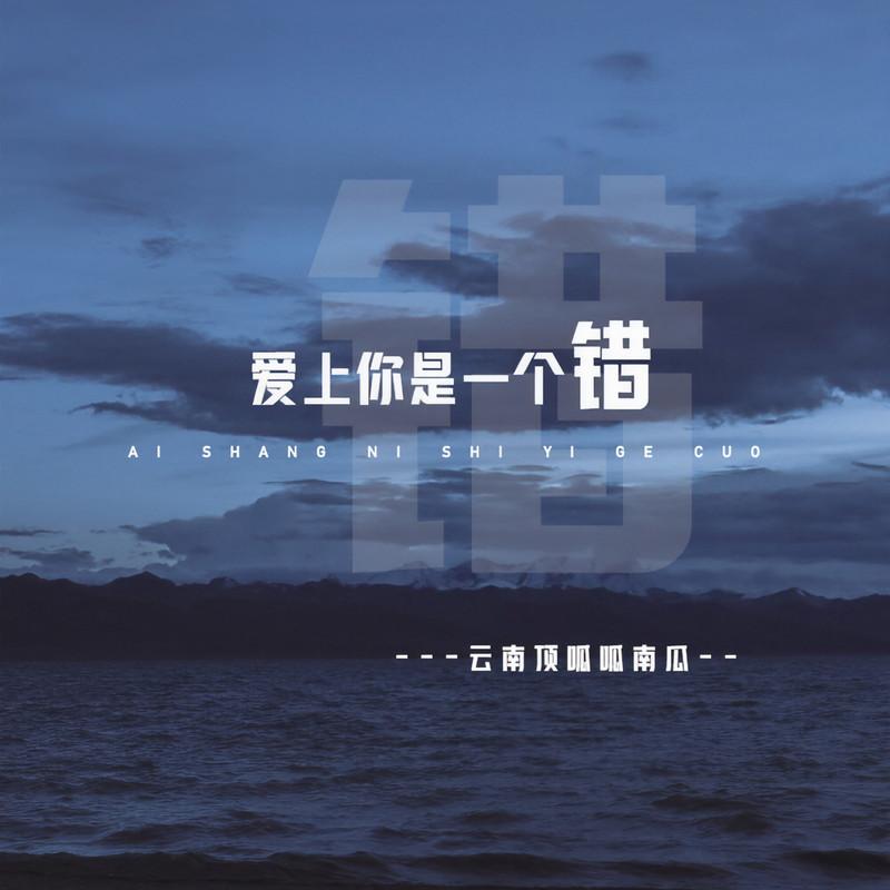 爱上你是一个错 (伴奏)封面