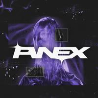 PVNEX