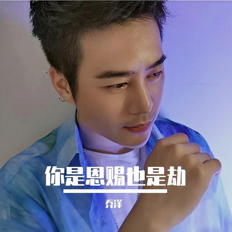 你是恩赐也是劫封面