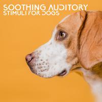 Soothing Auditory Stimuli for Dogs