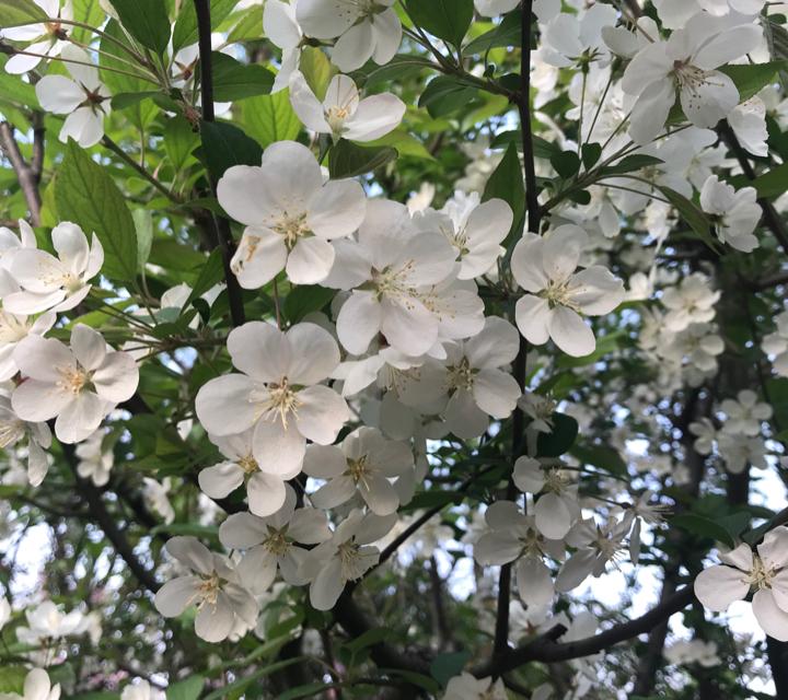 点八点