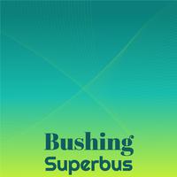 Bushing Superbus