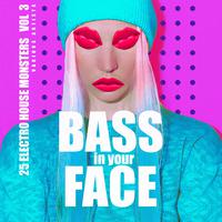 Bass In Your Face, Vol. 3 (25 Electro House Monsters)