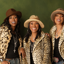 The Pointer Sisters