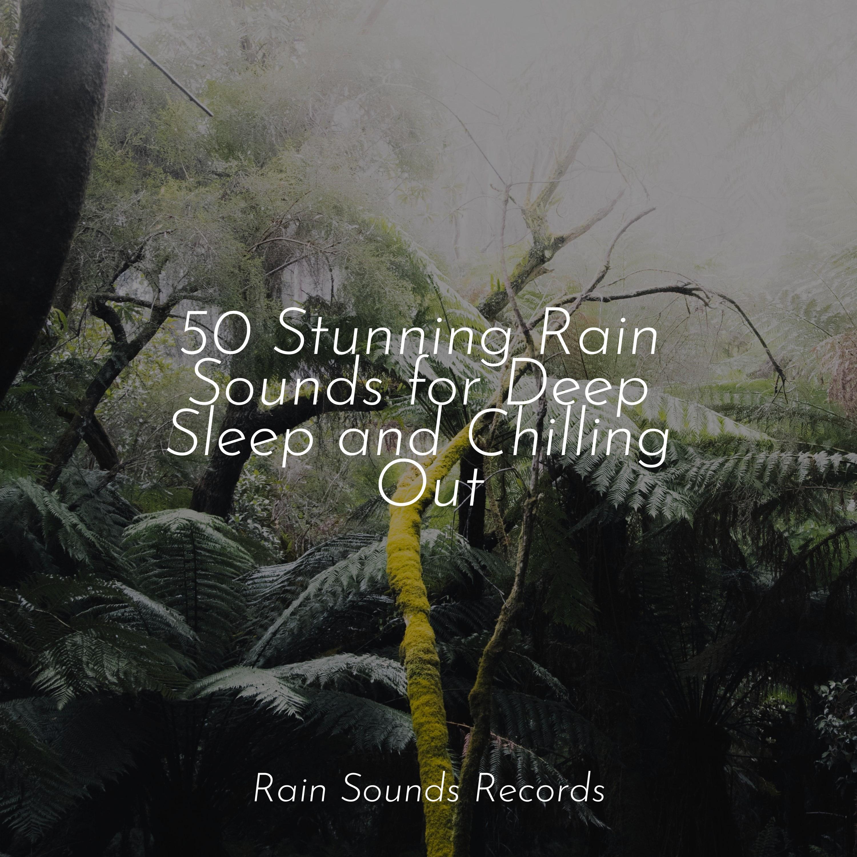 50 Stunning Rain Sounds For Deep Sleep And Chilling Out Canciones De