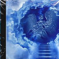 IcedOutAngels