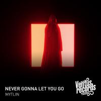 Never Gonna Let You Go