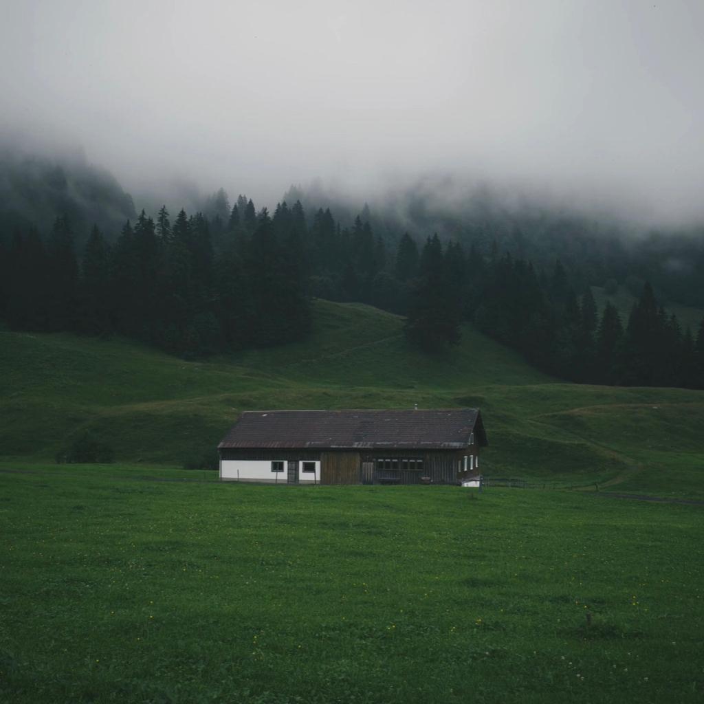 [欧美氛围感歌单]小众高质精选