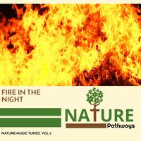 Fire in the Night - Nature Music Tunes, Vol.2