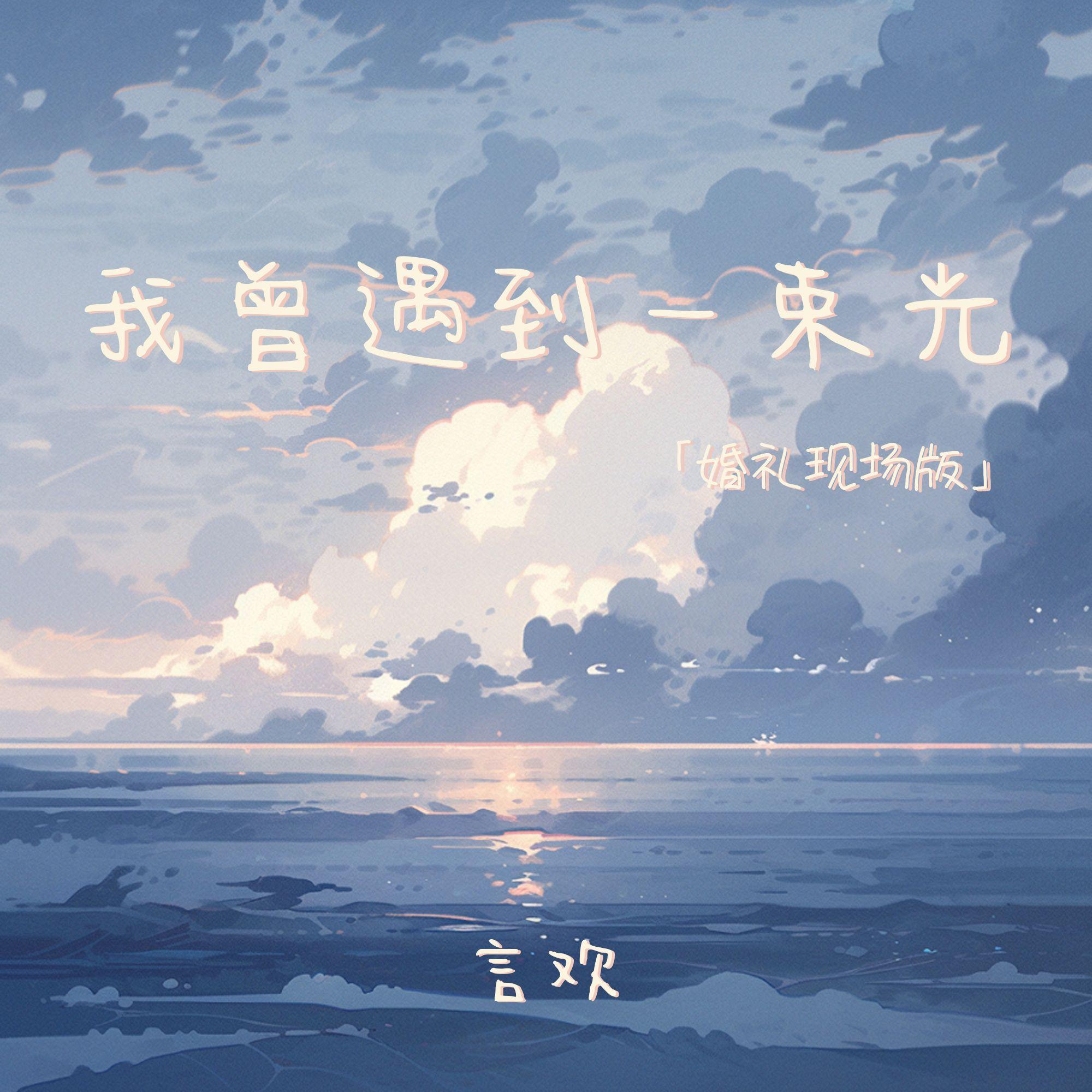 我曾遇到一束光(婚礼现场版)封面
