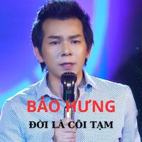 Đời Là Cõi Tạm