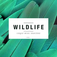 Wildlife - Unique Music Selection, Vol. 1