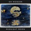 Midnight Moon (10 Years On)专辑