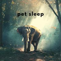 Pet sleep