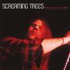 Screaming Trees - Change Has Come (Live 1993)