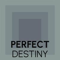 Perfect Destiny