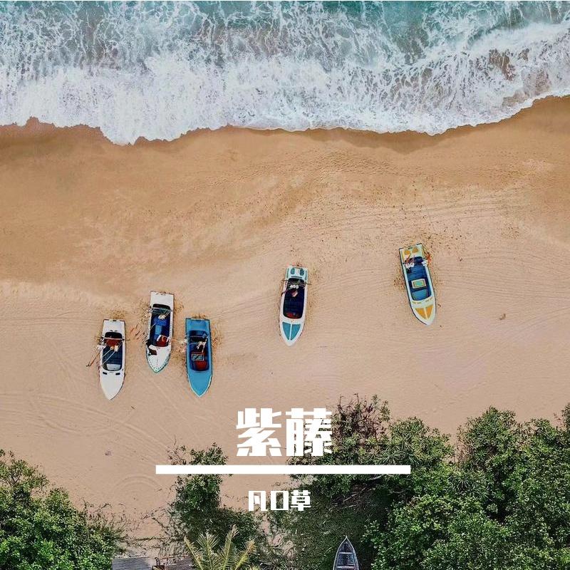 黄金甲封面