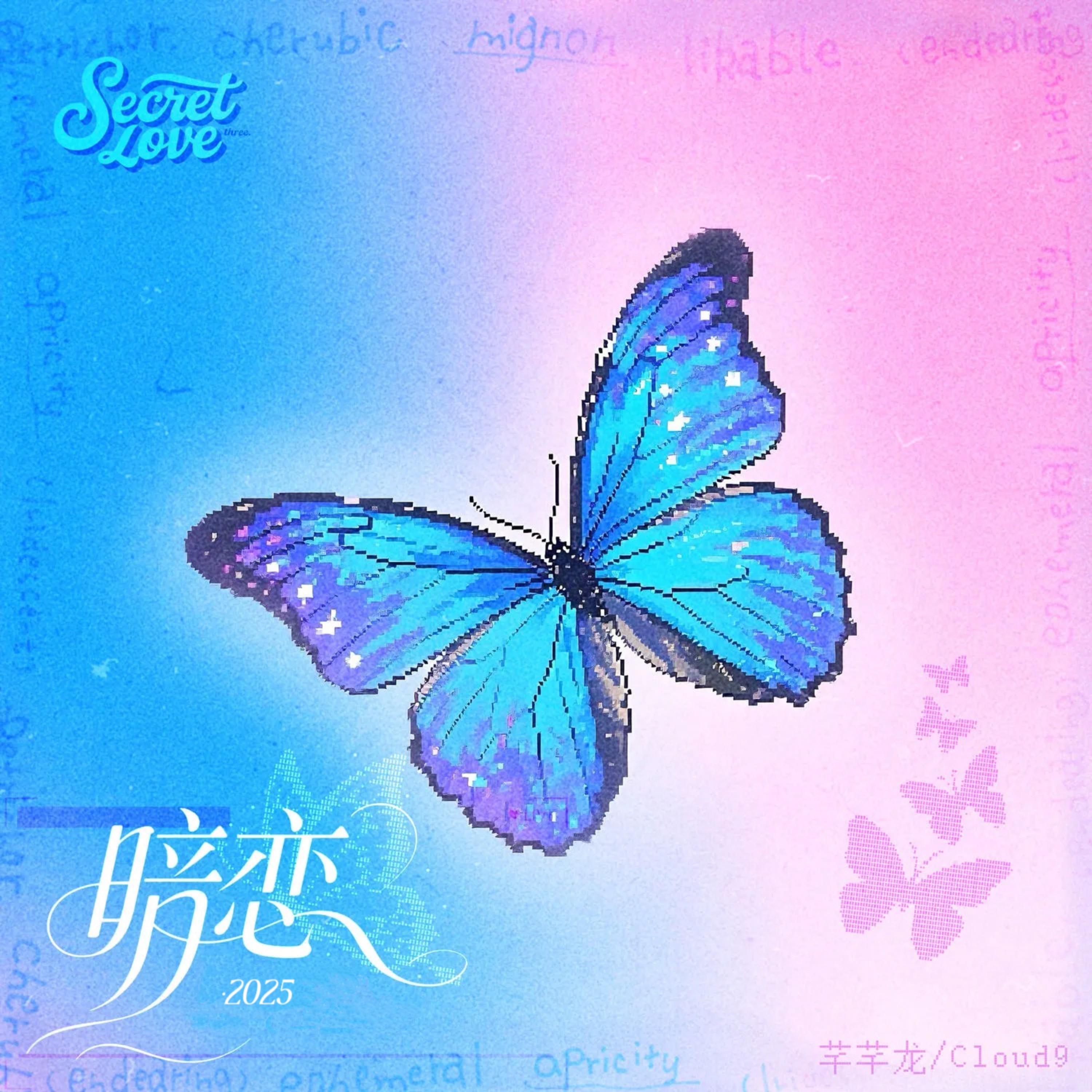 暗恋·2025 banner