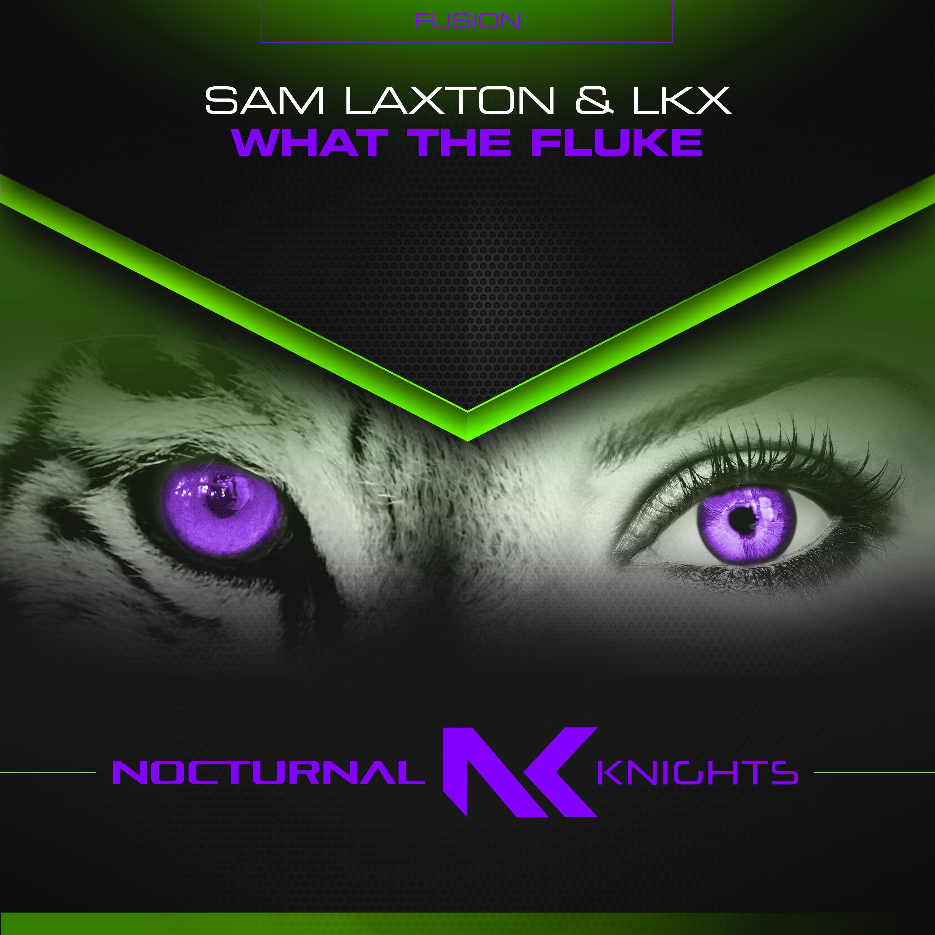 What the Fluke (Extended Mix)